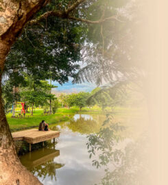 Rancho Maria João